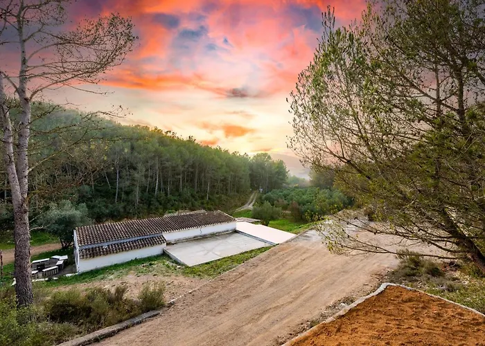 Cabana Del Bosque