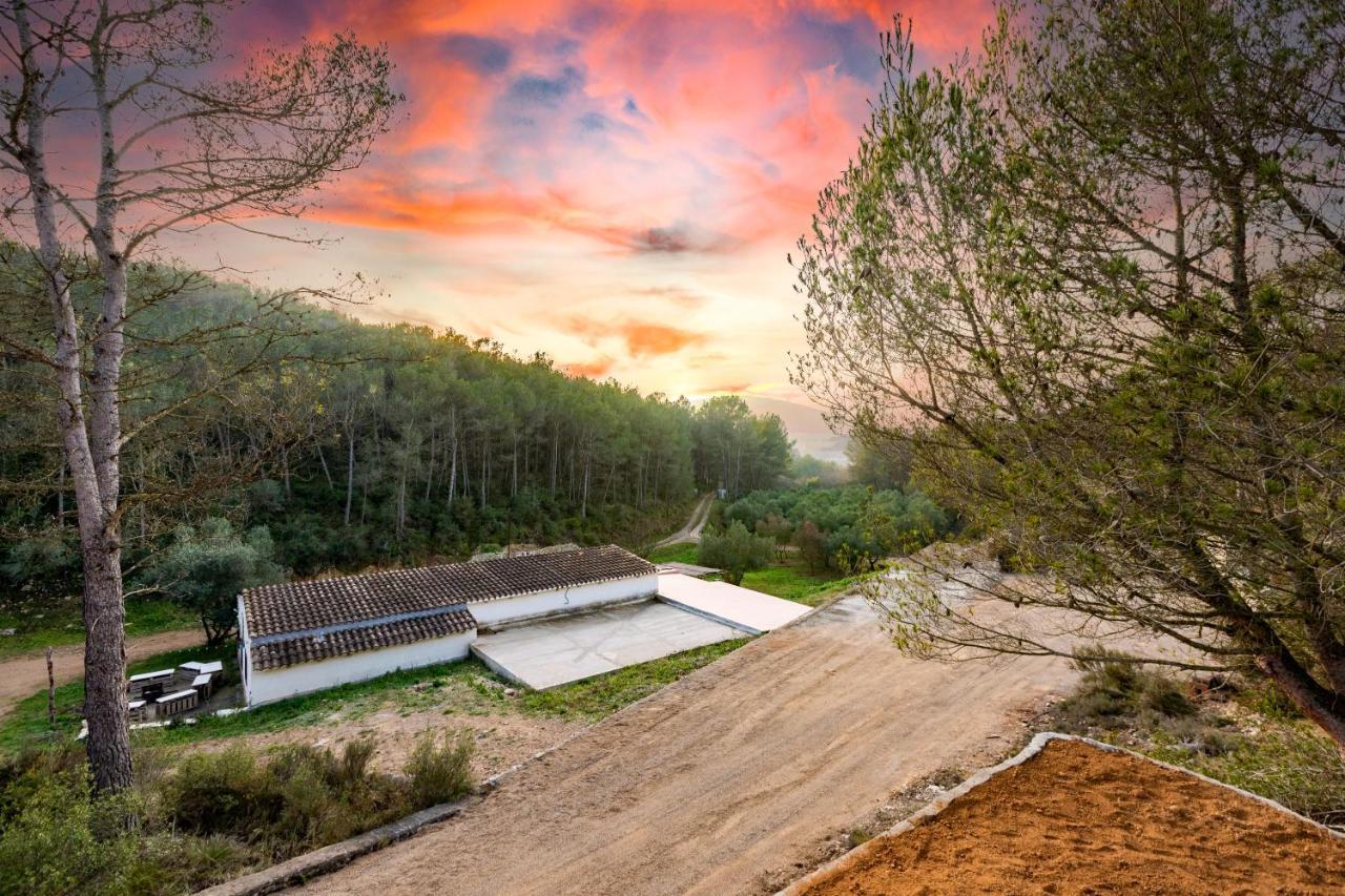 Alojamento de Turismo Selvagem Del Bosque *